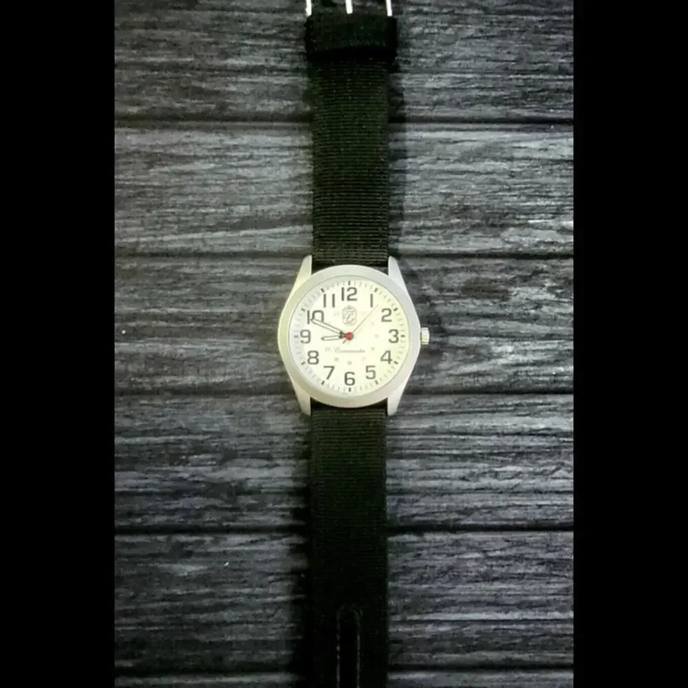 Pierre‎ Lucerne Commander Railroad Approved Style Watch